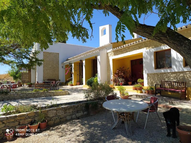 La Escuela Del Campo Bed & Breakfast Setenil De Las Bodegas ภายนอก รูปภาพ