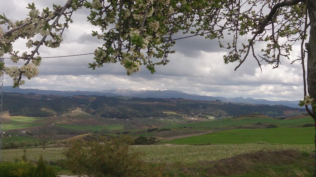 La Escuela Del Campo Bed & Breakfast Setenil De Las Bodegas ภายนอก รูปภาพ