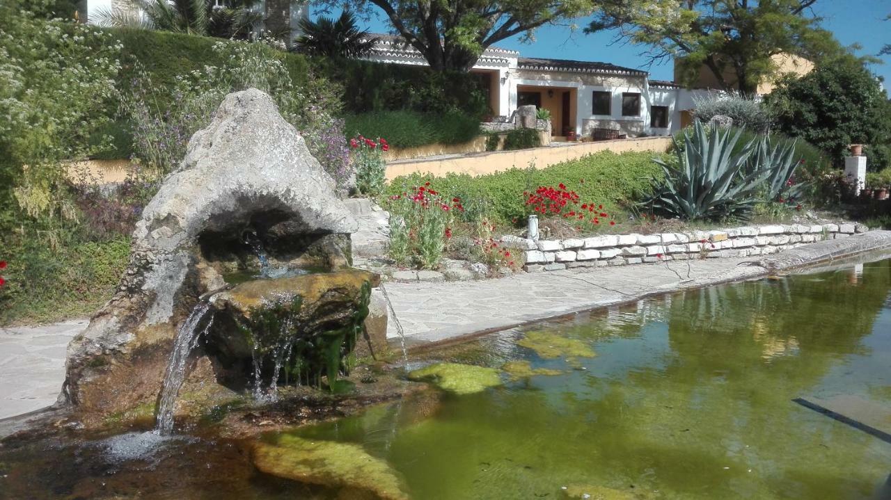 La Escuela Del Campo Bed & Breakfast Setenil De Las Bodegas ภายนอก รูปภาพ